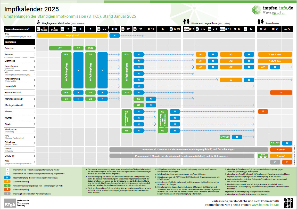  Das Bild zeigt eine Vorschau des Mediums "Impfkalender" 
