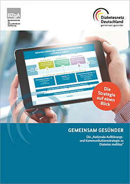 Abbildung - Diabetes-Flyer "Strategie"