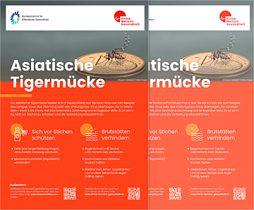 Asiatische Tigermücke