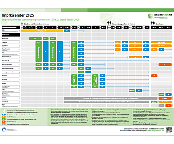 Das Bild zeigt eine Vorschau des Mediums "Impfkalender"