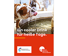 Das Bild zeigt eine Vorschau des Mediums "Erfrischende Rezeptkarte: Wassermelonendrink für heiße Tage"