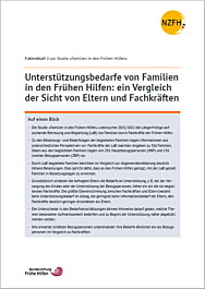 Faktenblatt 2: Unterstützungsbedarfe von Familien in den Frühen Hilfen