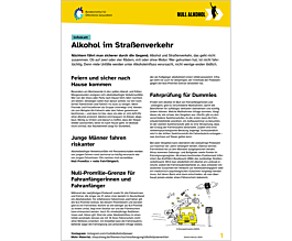 Das Bild zeigt eine Vorschau des Mediums "Infoblatt: Alkohol im Straßenverkehr"
