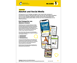 Das Bild zeigt eine Vorschau des Mediums "Arbeitsblatt: Alkohol und Social Media"