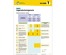 Das Bild zeigt eine Vorschau des Mediums "Infoblatt: Jugendschutzgesetz"