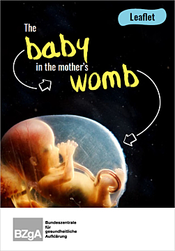 Das Bild zeigt eine Vorschau des Mediums "The baby in the mother's womb"