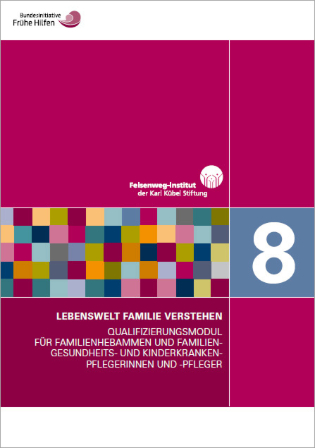 Qualifizierungsmodul für FamHeb/FGKiKP - Modul 8 main product photo