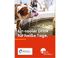 Das Bild zeigt eine Vorschau des Mediums "Erfrischende Rezeptkarte: Wassermelonendrink für heiße Tage"