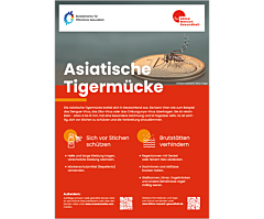 Asiatische Tigerm&uuml;cke