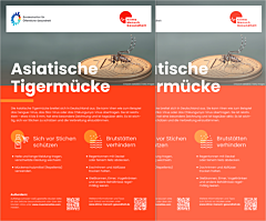 Asiatische Tigerm&uuml;cke