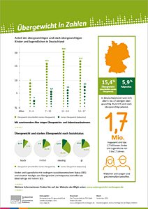 PDF Themenblatt: &Uuml;bergewicht in Zahlen